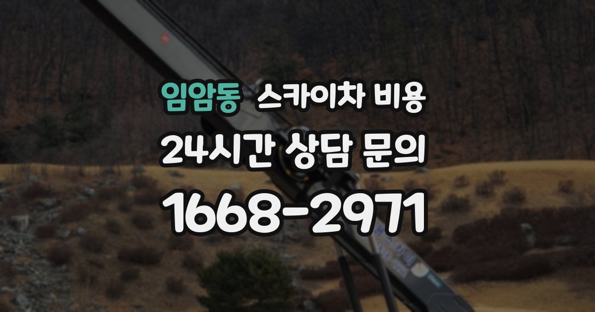 임암동 스카이차 비용