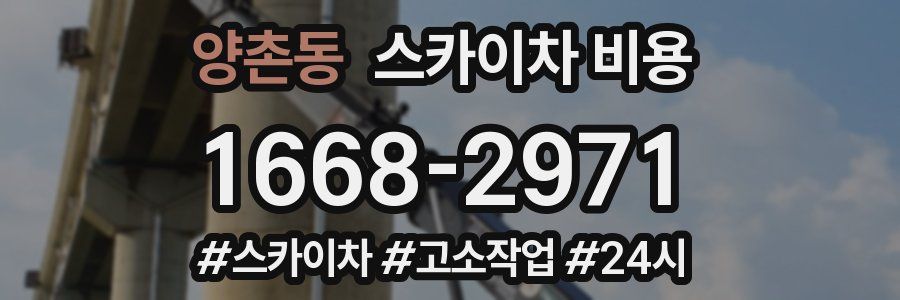 양촌동 스카이차 비용