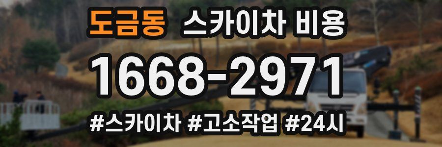 도금동 스카이차 비용