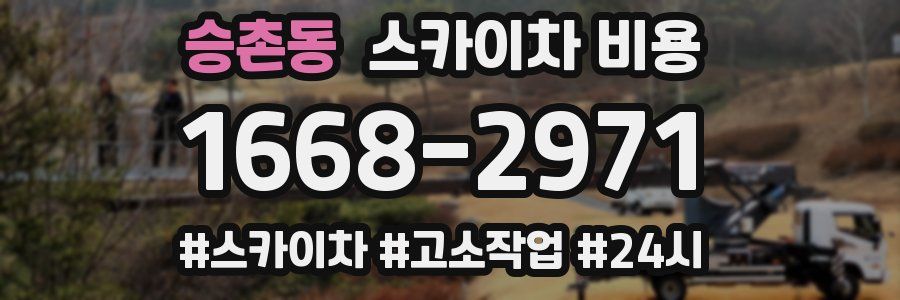 승촌동 스카이차 비용