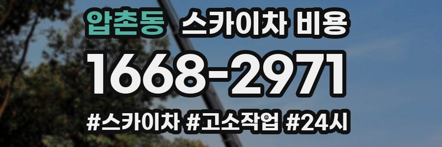 압촌동 스카이차 비용