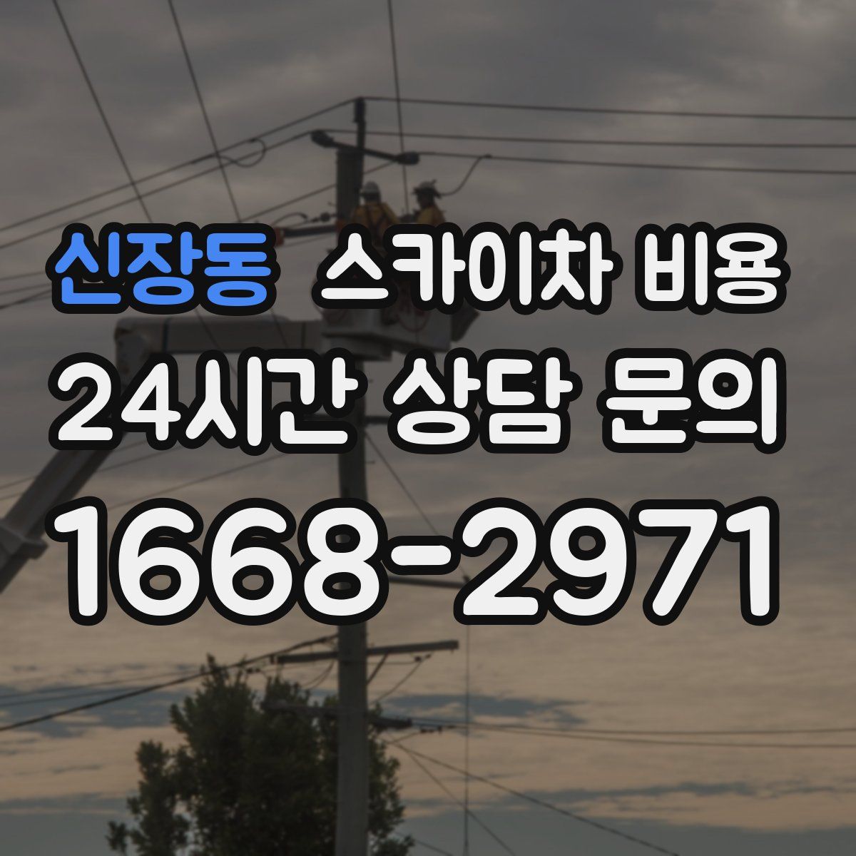 신장동 스카이차 비용