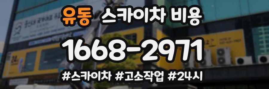 유동 스카이차 비용