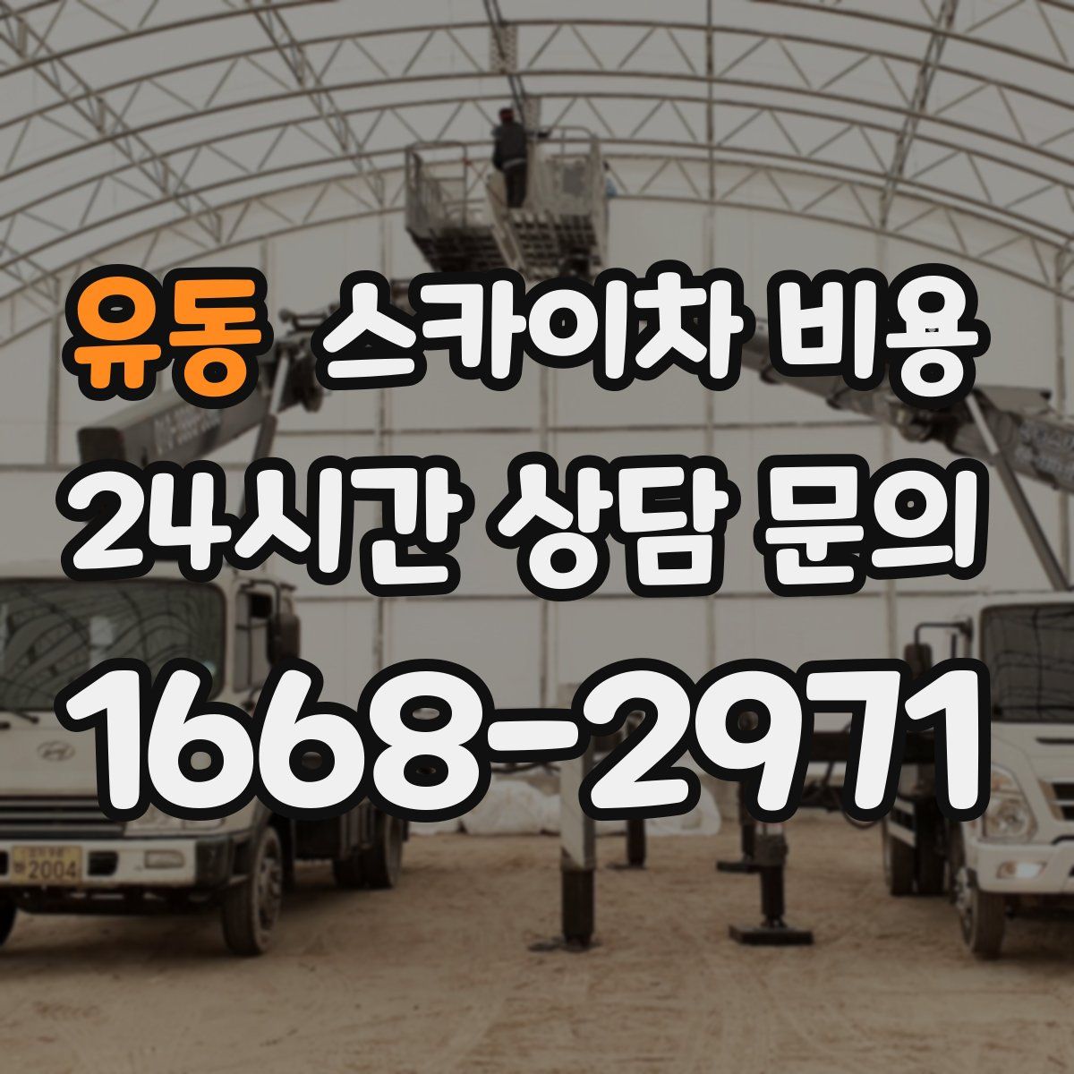 유동 스카이차 비용