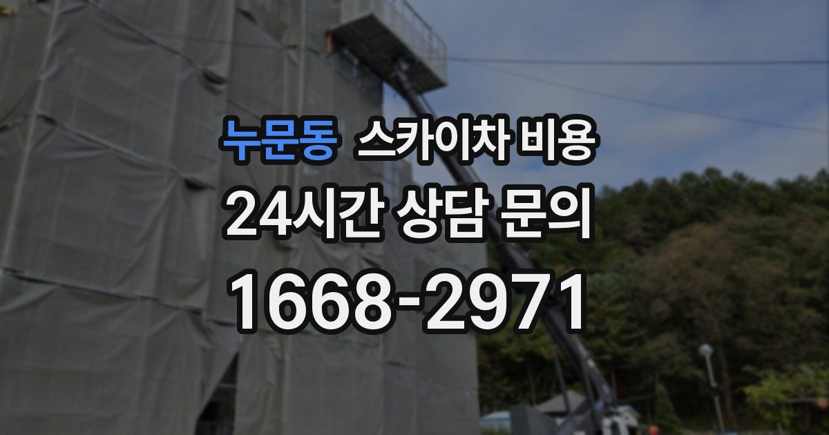 누문동 스카이차 비용