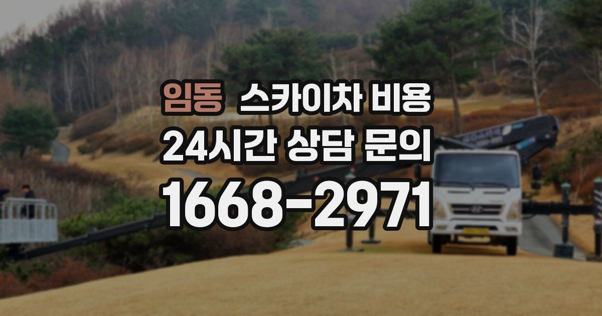 임동 스카이차 비용