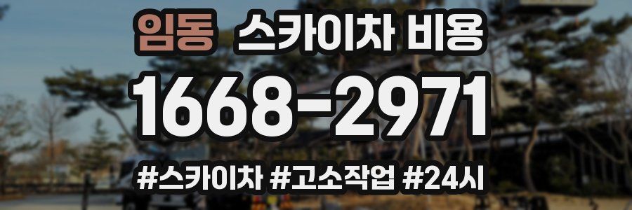 임동 스카이차 비용