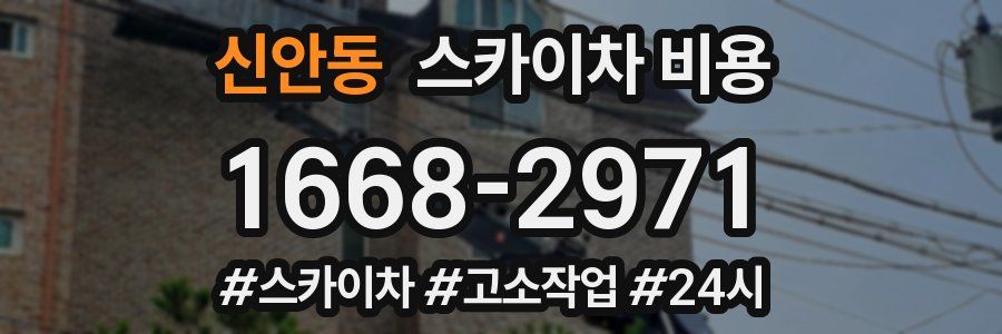 신안동 스카이차 비용