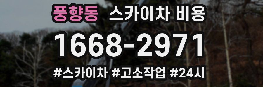 풍향동 스카이차 비용