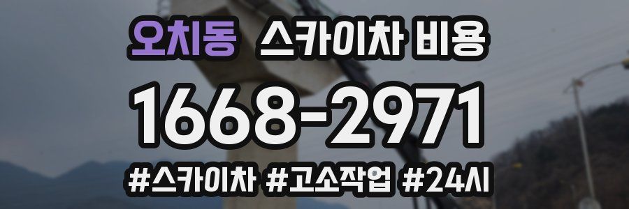 오치동 스카이차 비용