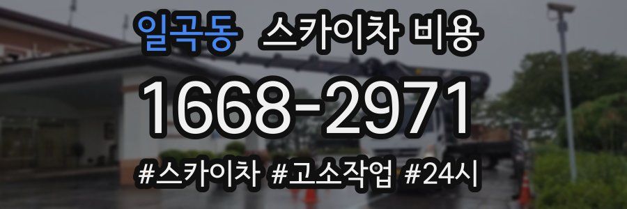 일곡동 스카이차 비용