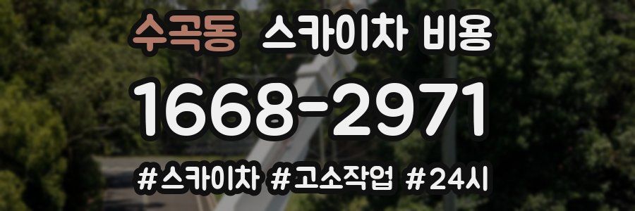 수곡동 스카이차 비용