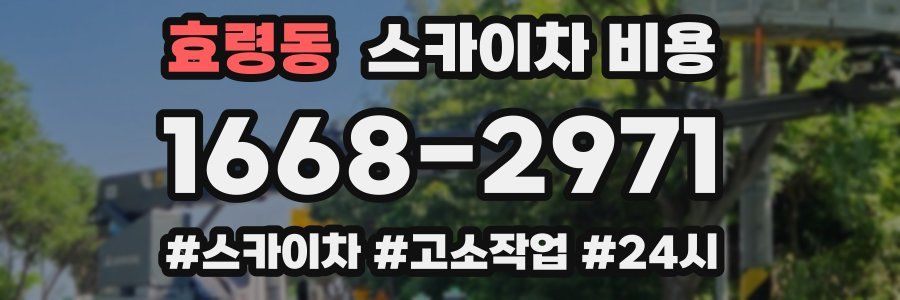 효령동 스카이차 비용