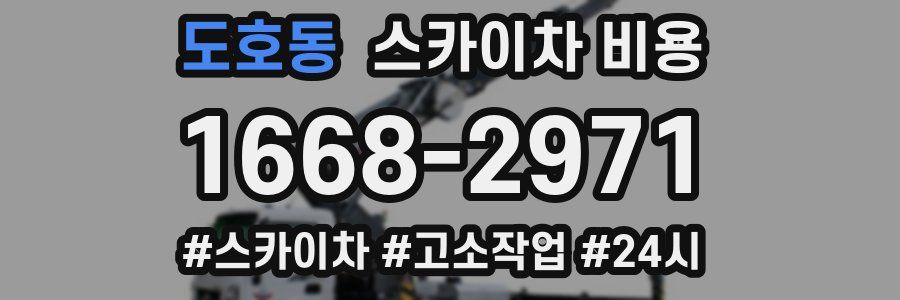 도호동 스카이차 비용