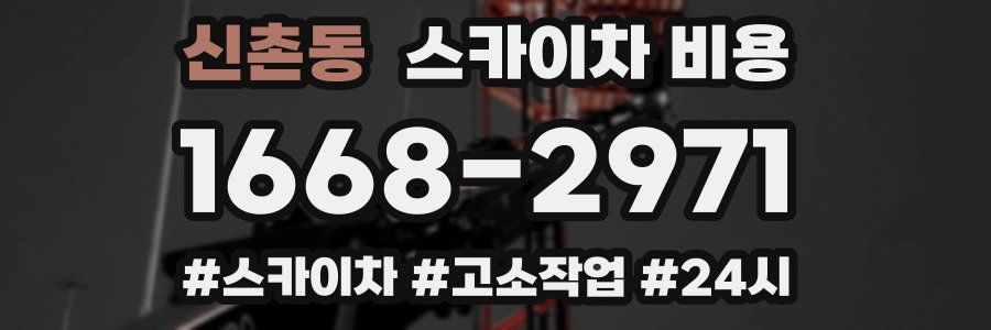 신촌동 스카이차 비용