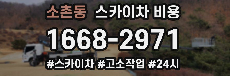 소촌동 스카이차 비용