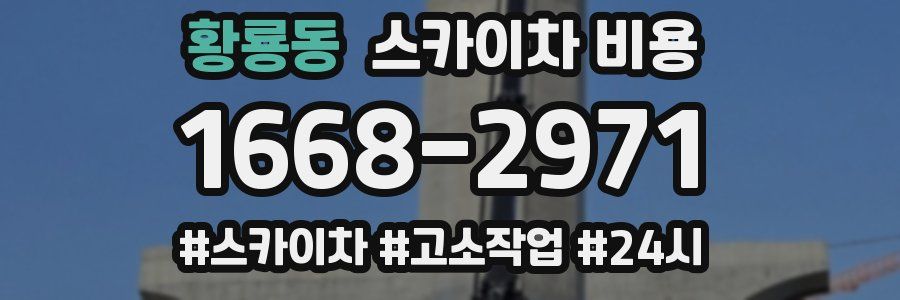 황룡동 스카이차 비용