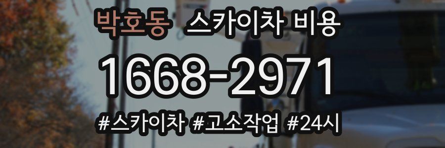 박호동 스카이차 비용