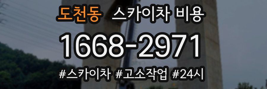 도천동 스카이차 비용