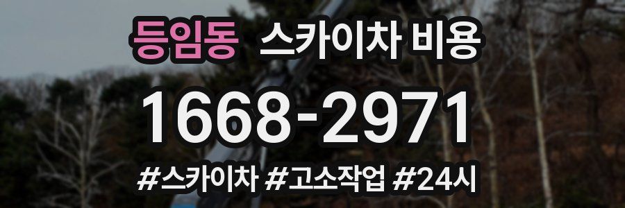 등임동 스카이차 비용