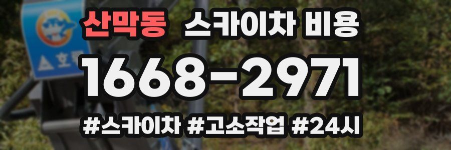 산막동 스카이차 비용