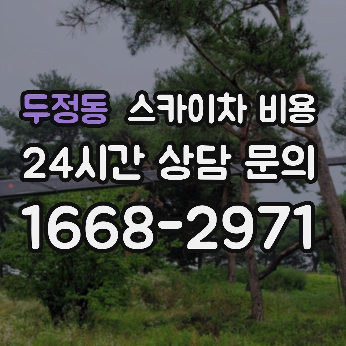 두정동 스카이차 비용 '너무 싼 견적'이 불안한 이유