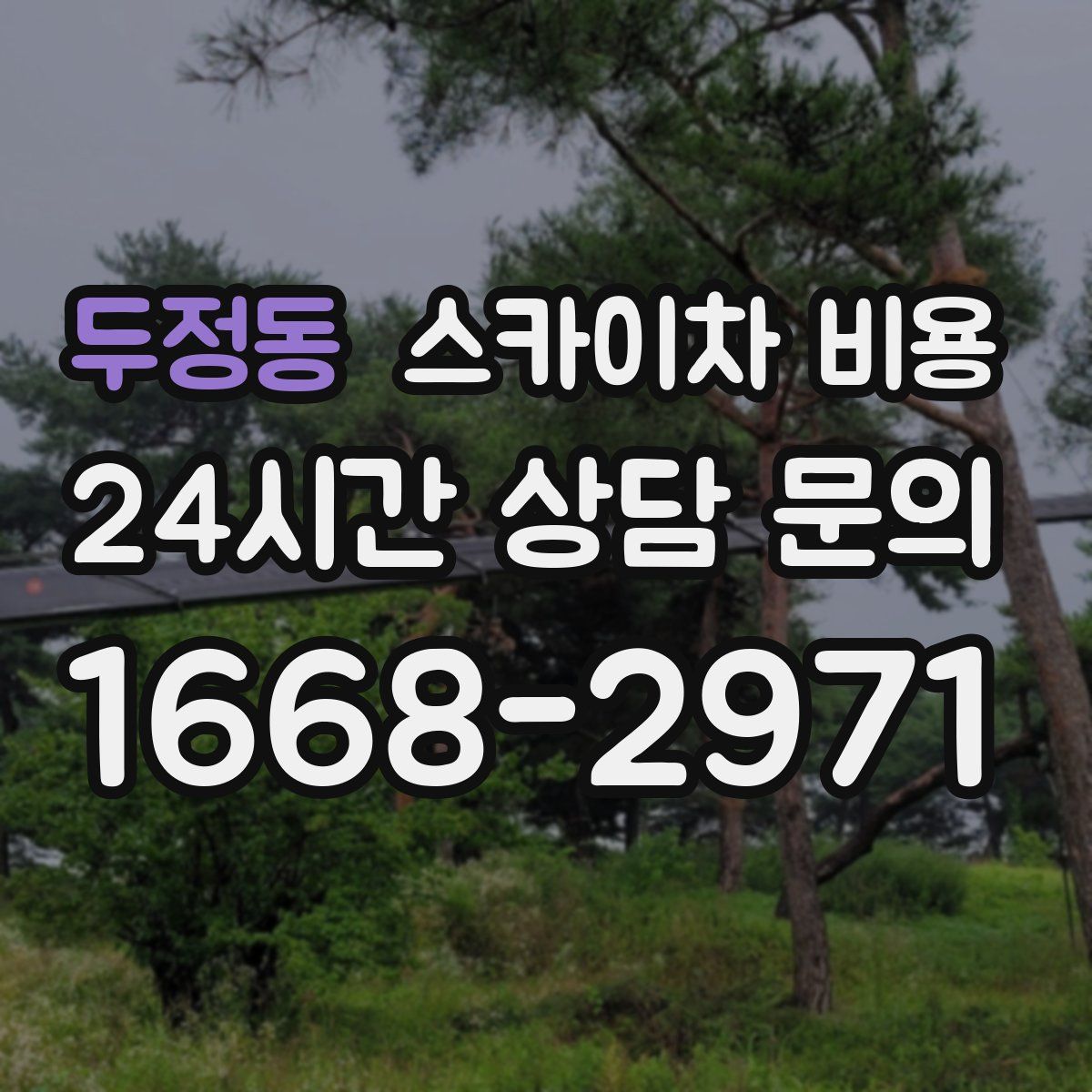 두정동 스카이차 비용