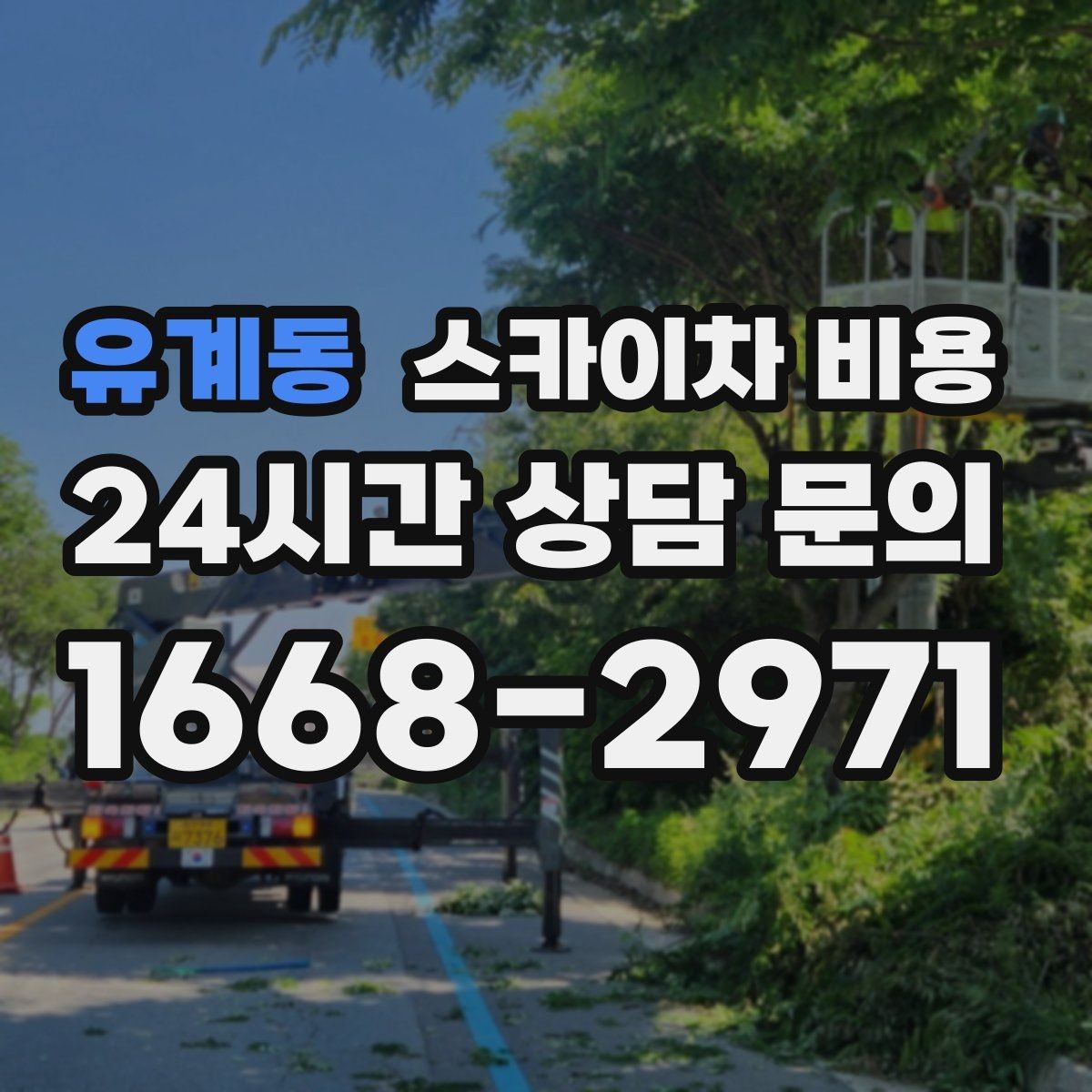 유계동 스카이차 비용 가로수·간판·전선이 동선을 막을 때