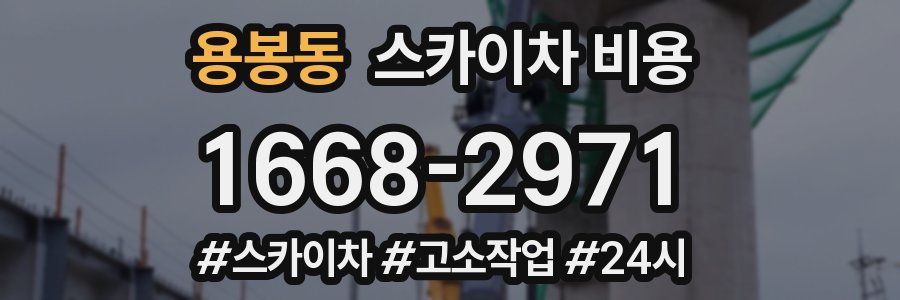 용봉동 스카이차 비용