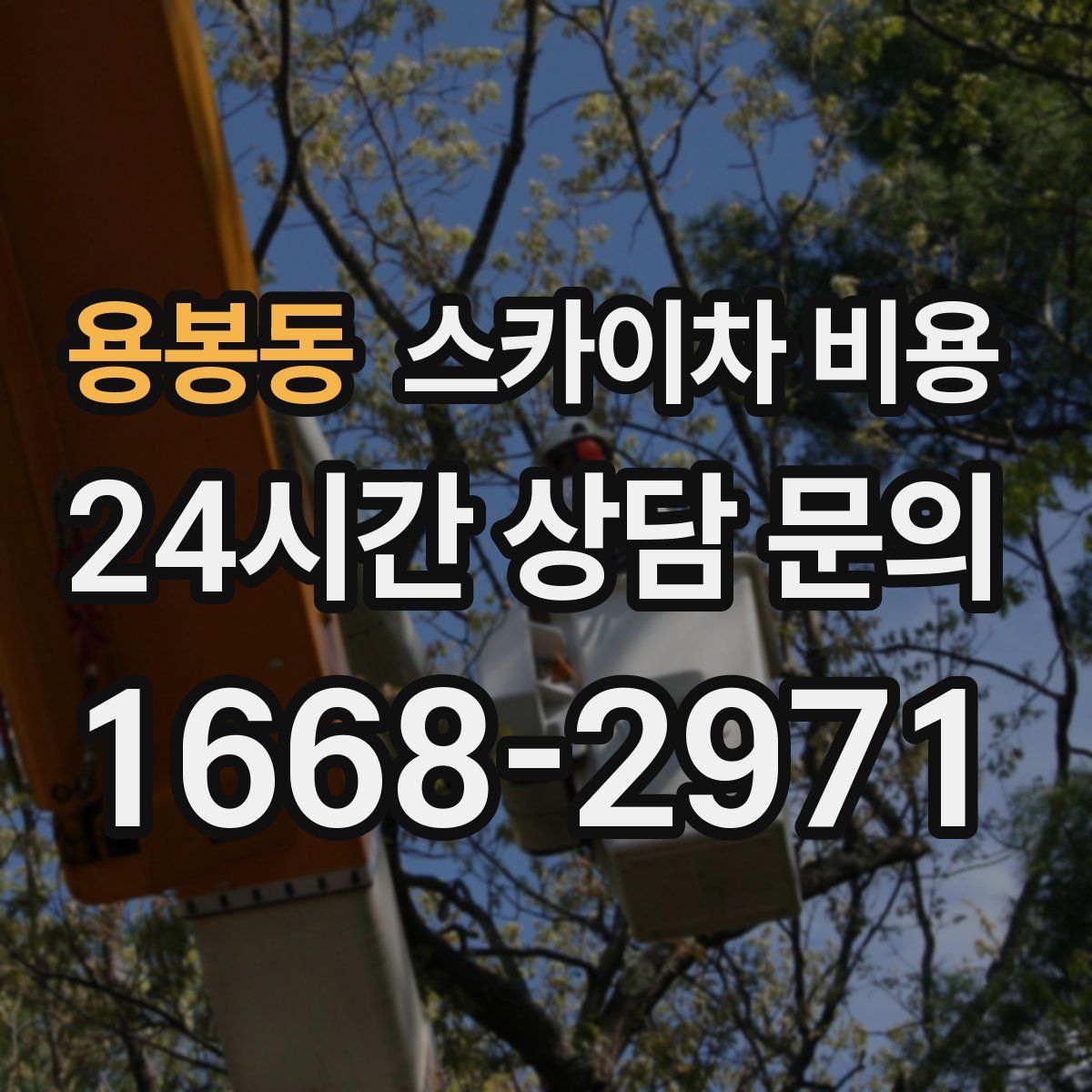 용봉동 스카이차 비용