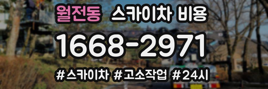 월전동 스카이차 비용