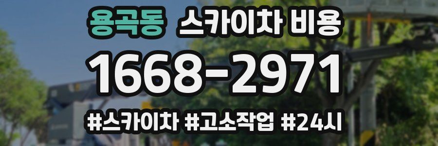 용곡동 스카이차 비용