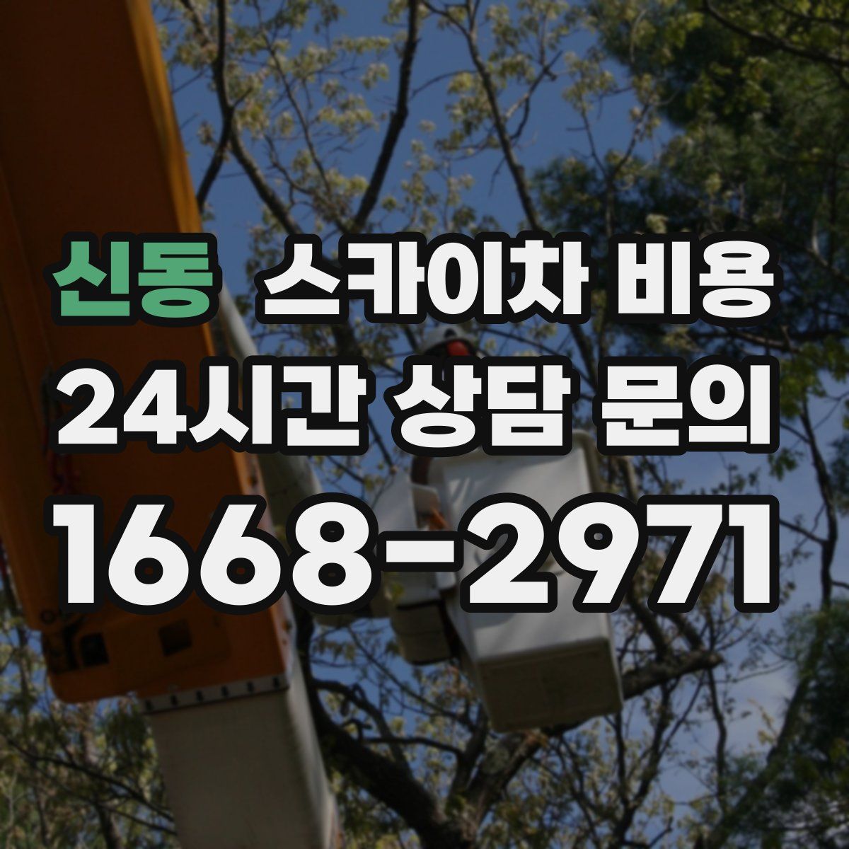 신동 스카이차 비용