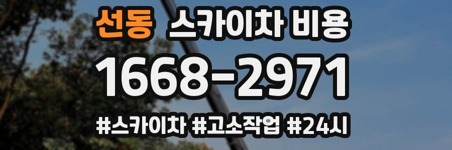 선동 스카이차 비용