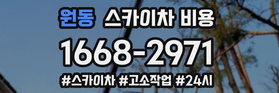 원동 스카이차 비용