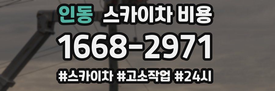 인동 스카이차 비용