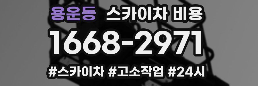 용운동 스카이차 비용