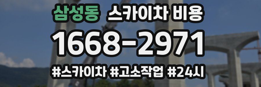 삼성동 스카이차 비용