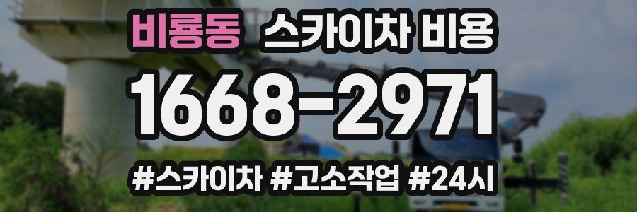 비룡동 스카이차 비용