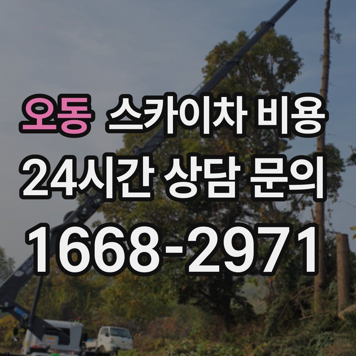 오동 스카이차 비용 결국 비용은 '현장 조건'이 좌우합니다