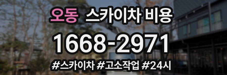 오동 스카이차 비용