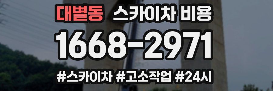 대별동 스카이차 비용