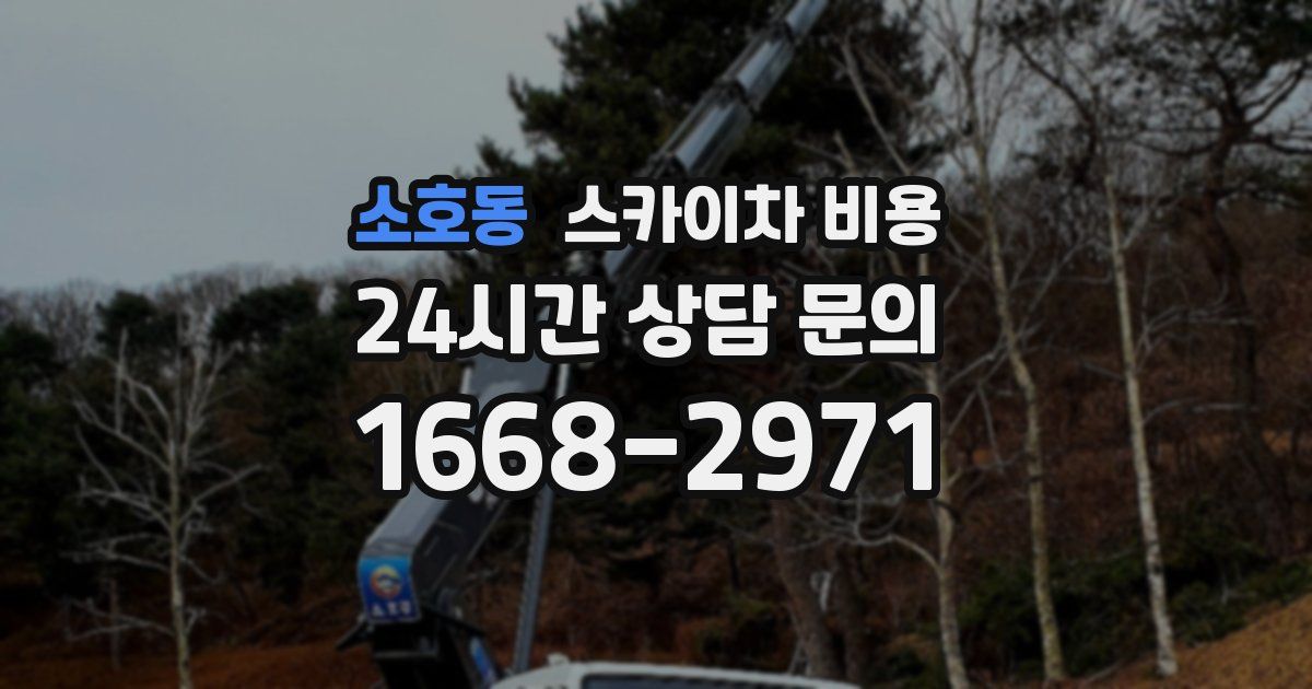 소호동 스카이차 비용