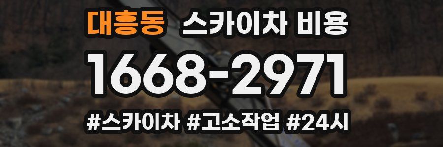 대흥동 스카이차 비용