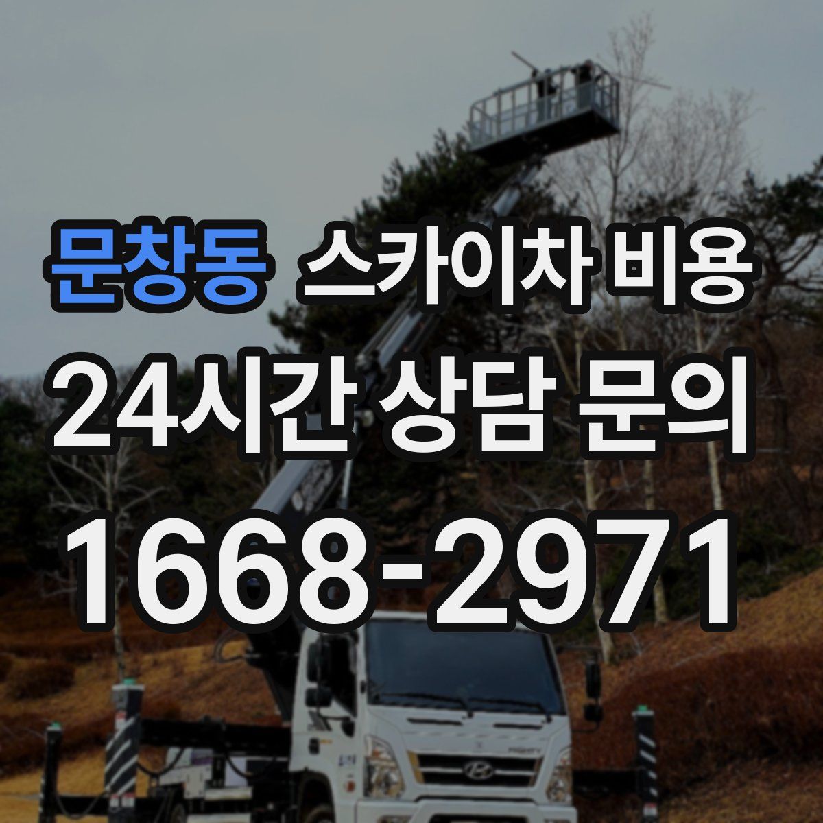 문창동 스카이차 비용