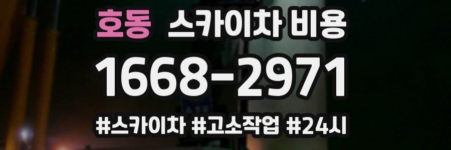 호동 스카이차 비용