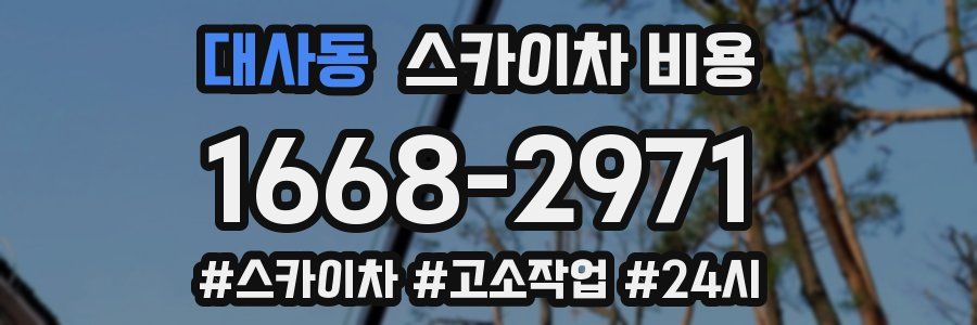 대사동 스카이차 비용