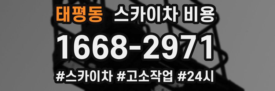 태평동 스카이차 비용