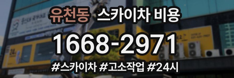 유천동 스카이차 비용