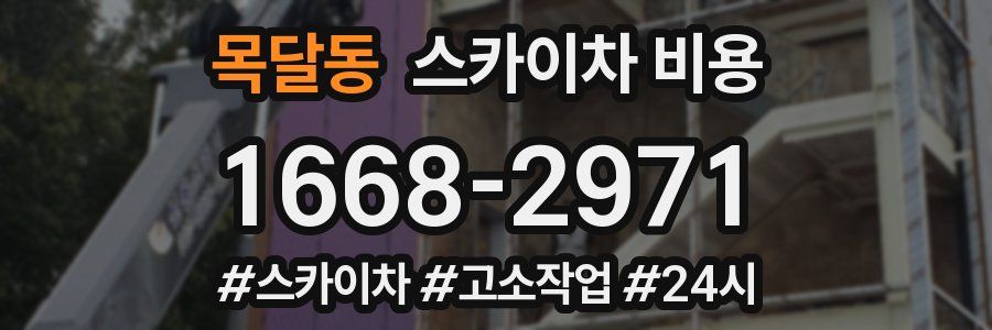 목달동 스카이차 비용